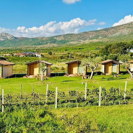 Fishta Guesthouse - Mrizi I Zanave Fishte Экстерьер фото