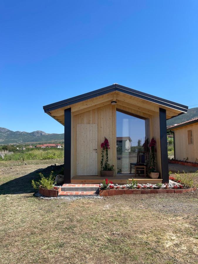 Fishta Guesthouse - Mrizi I Zanave Fishte Экстерьер фото