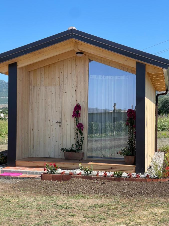 Fishta Guesthouse - Mrizi I Zanave Fishte Экстерьер фото