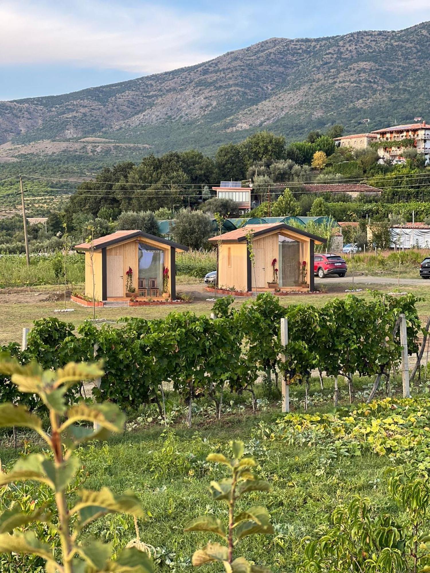 Fishta Guesthouse - Mrizi I Zanave Fishte Экстерьер фото