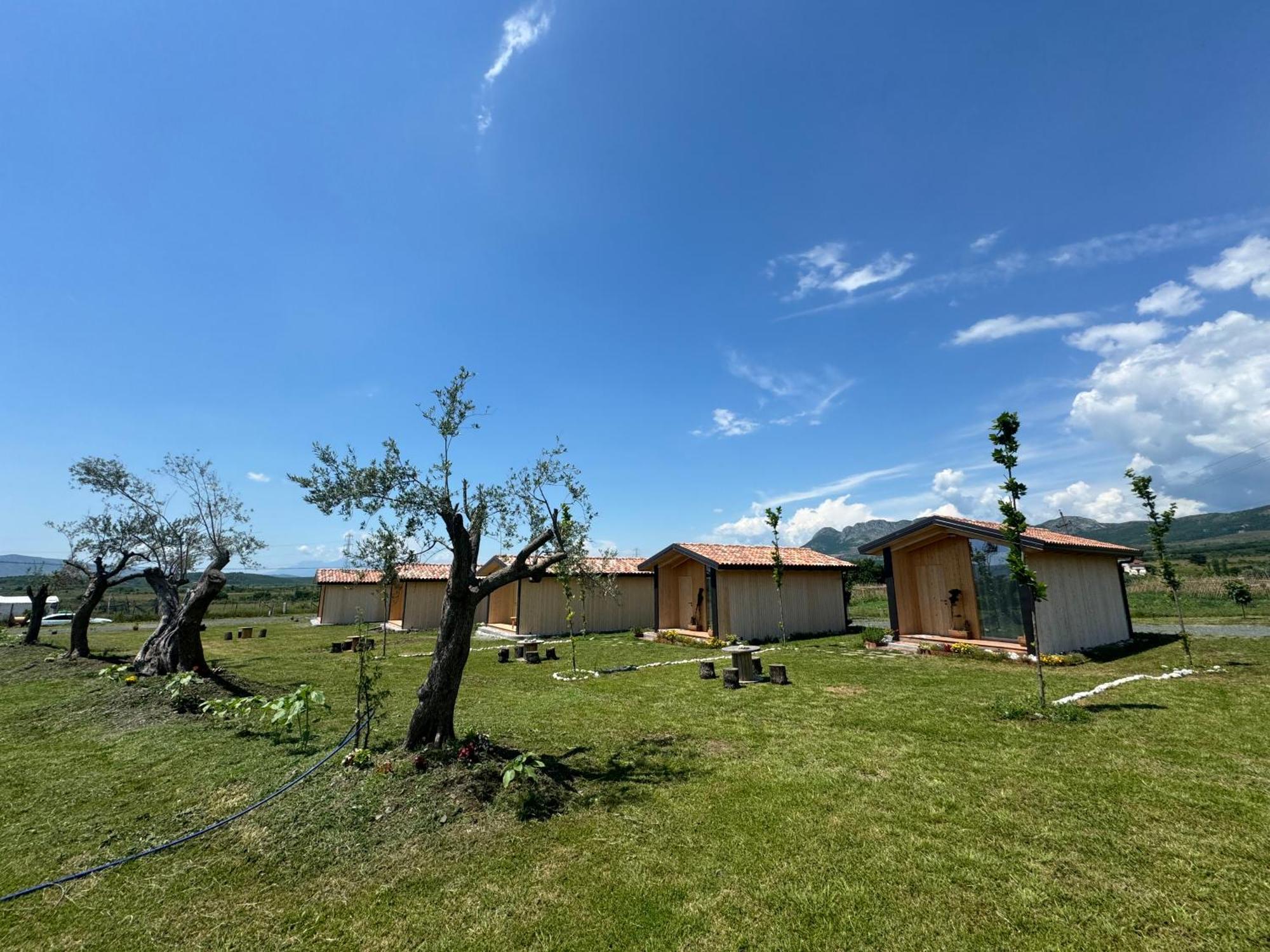 Fishta Guesthouse - Mrizi I Zanave Fishte Экстерьер фото