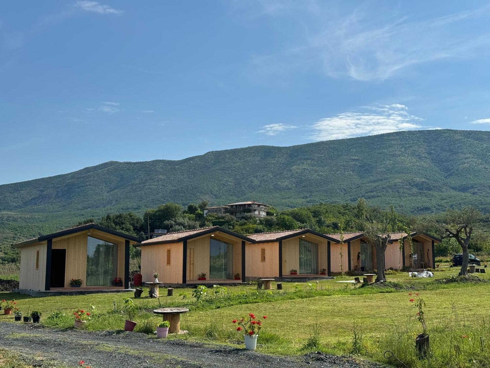 Fishta Guesthouse - Mrizi I Zanave Fishte Экстерьер фото