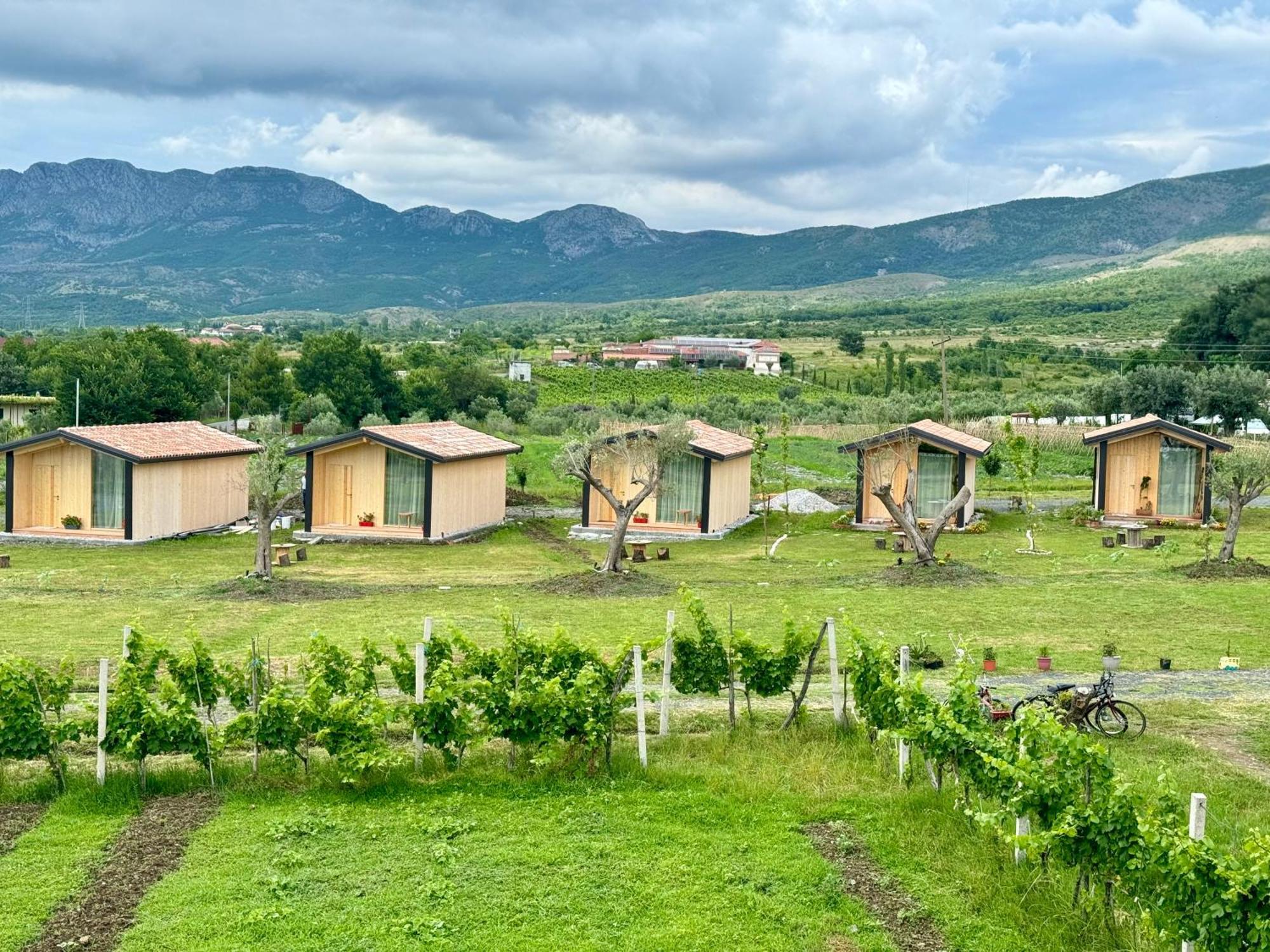 Fishta Guesthouse - Mrizi I Zanave Fishte Экстерьер фото