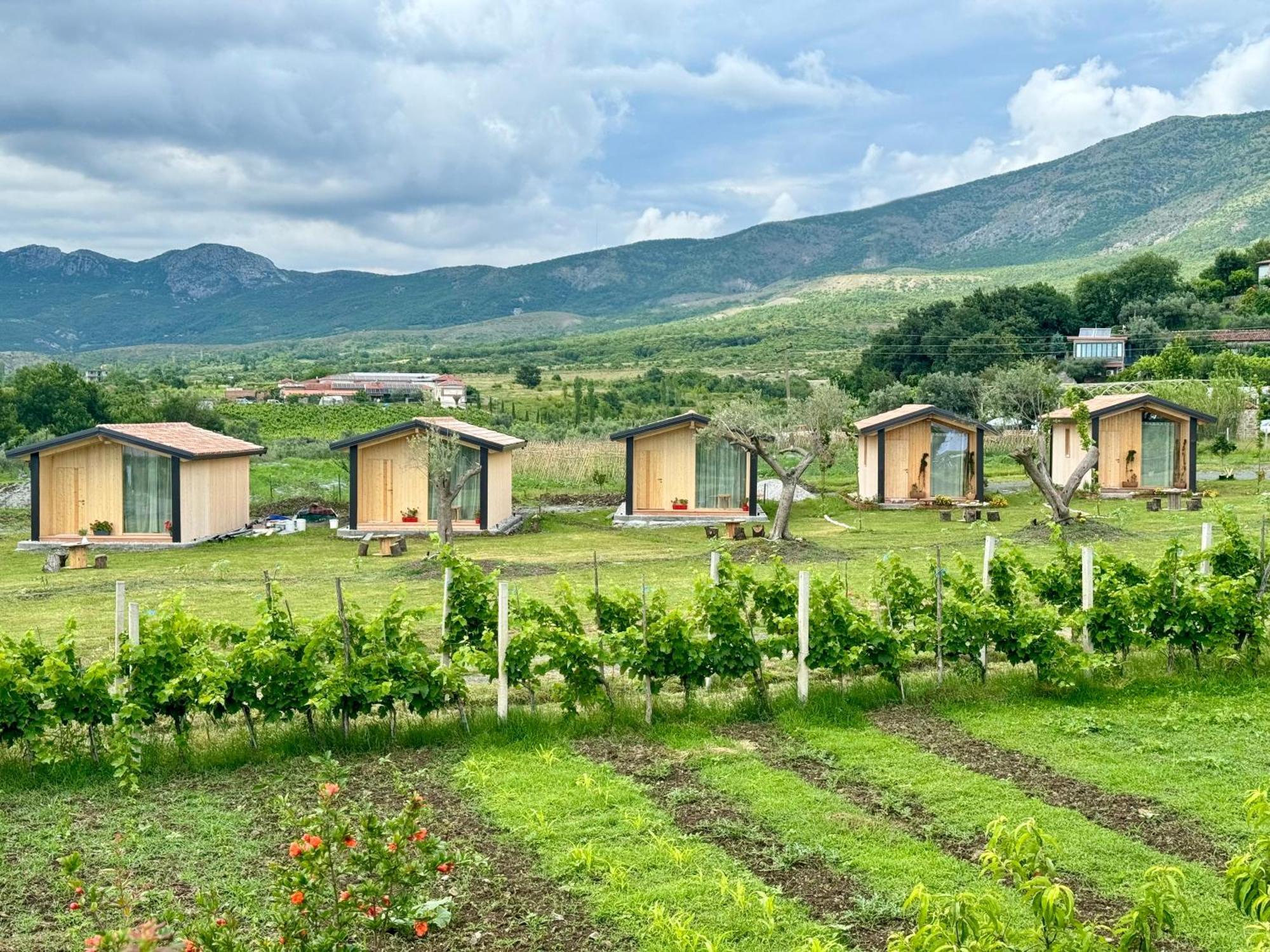 Fishta Guesthouse - Mrizi I Zanave Fishte Экстерьер фото