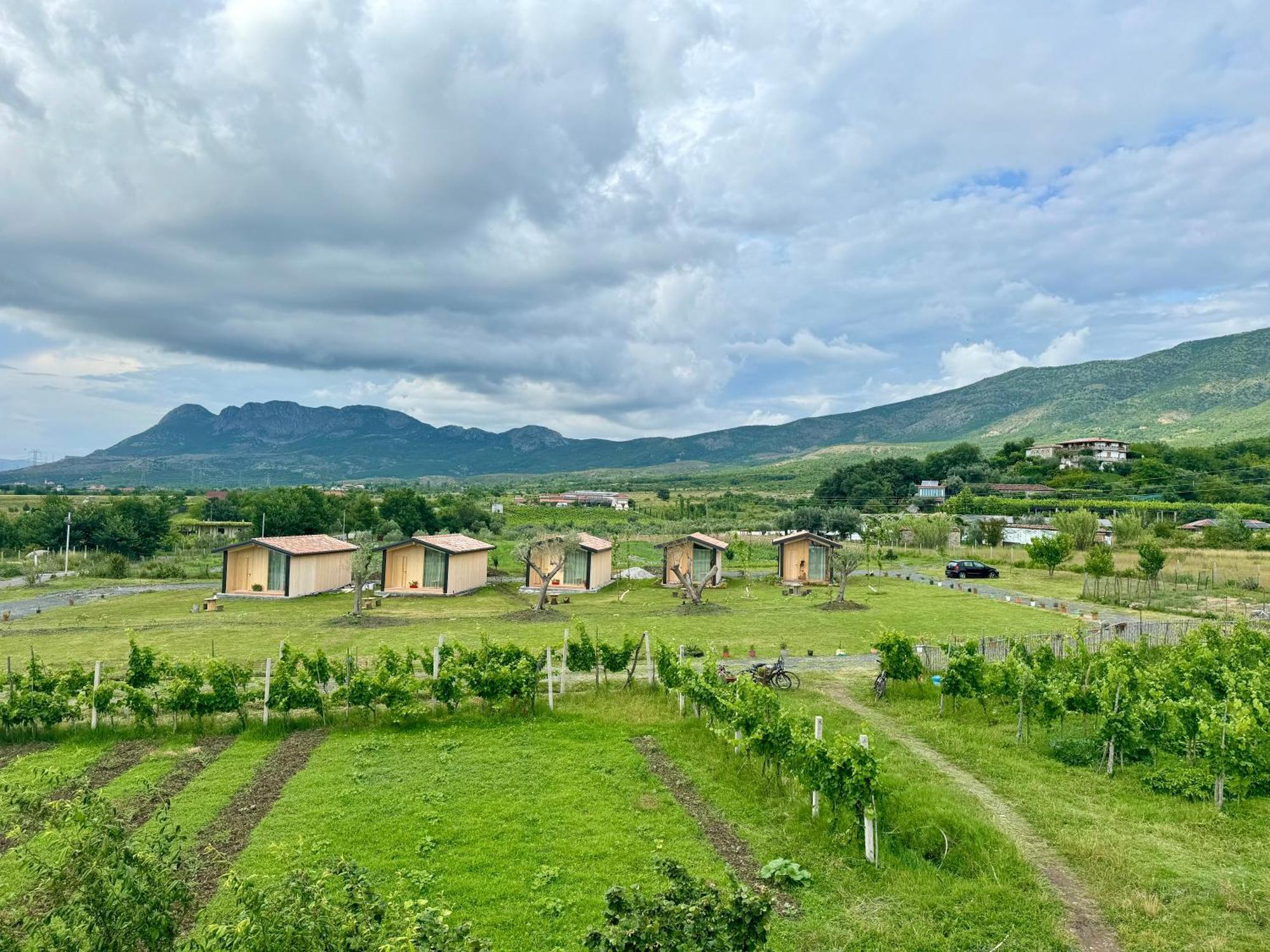 Fishta Guesthouse - Mrizi I Zanave Fishte Экстерьер фото