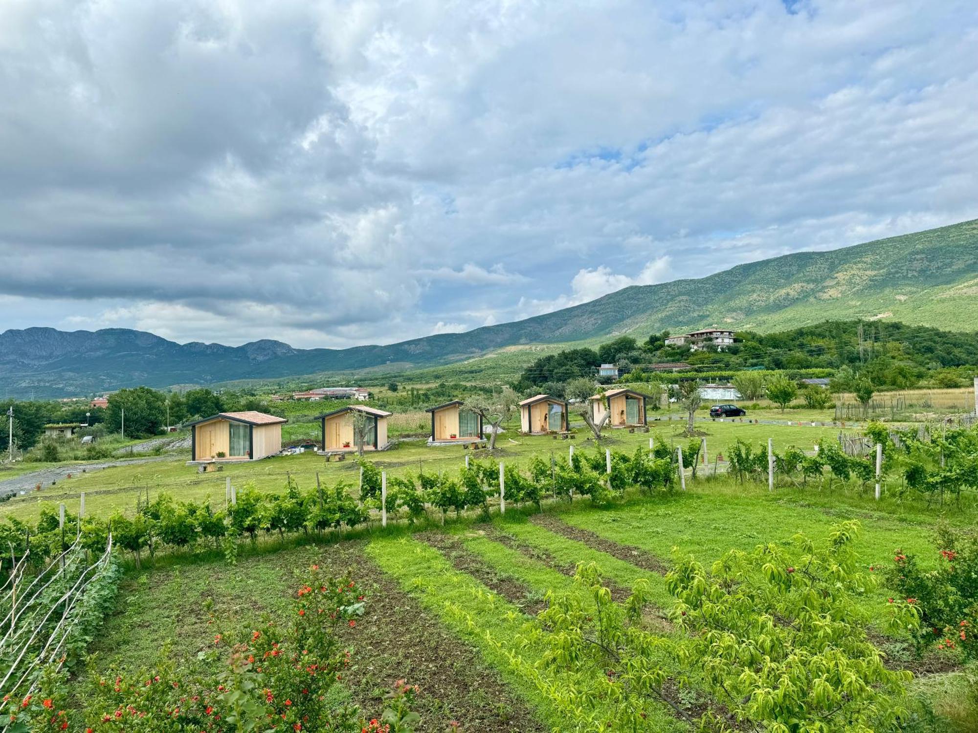 Fishta Guesthouse - Mrizi I Zanave Fishte Экстерьер фото