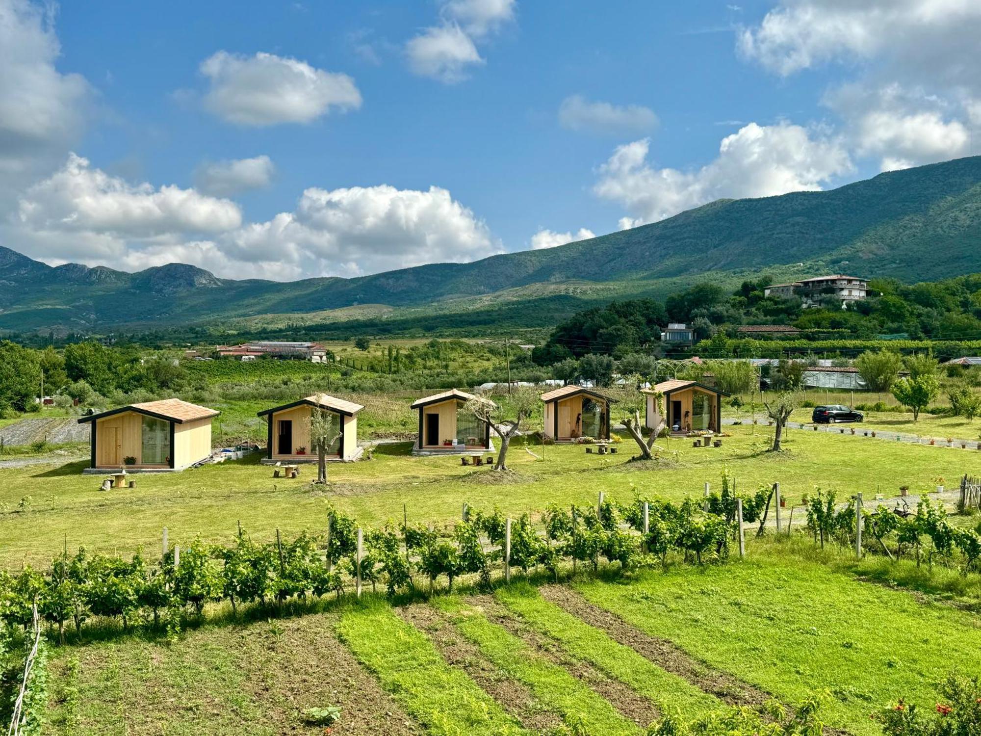 Fishta Guesthouse - Mrizi I Zanave Fishte Экстерьер фото
