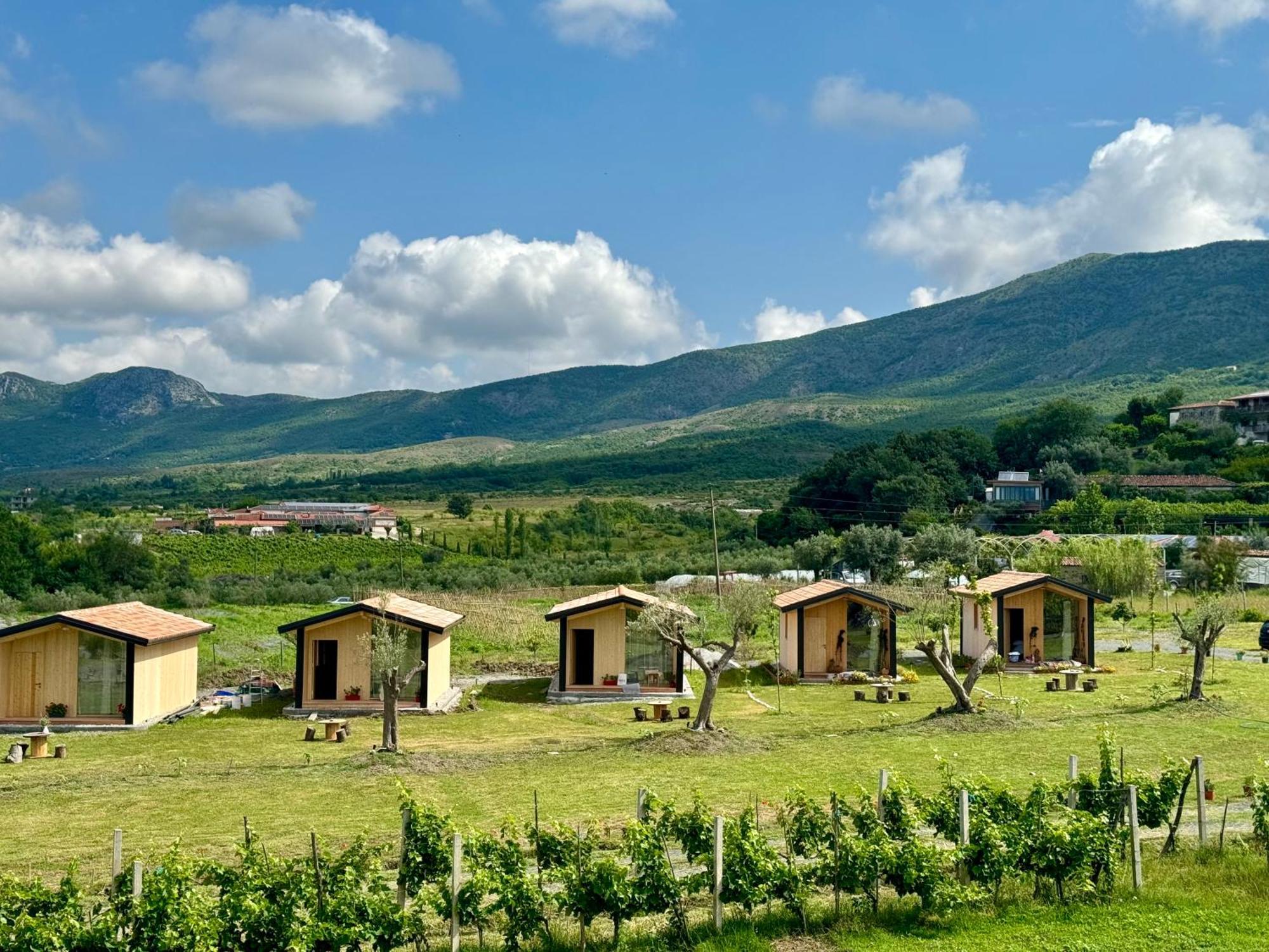 Fishta Guesthouse - Mrizi I Zanave Fishte Экстерьер фото