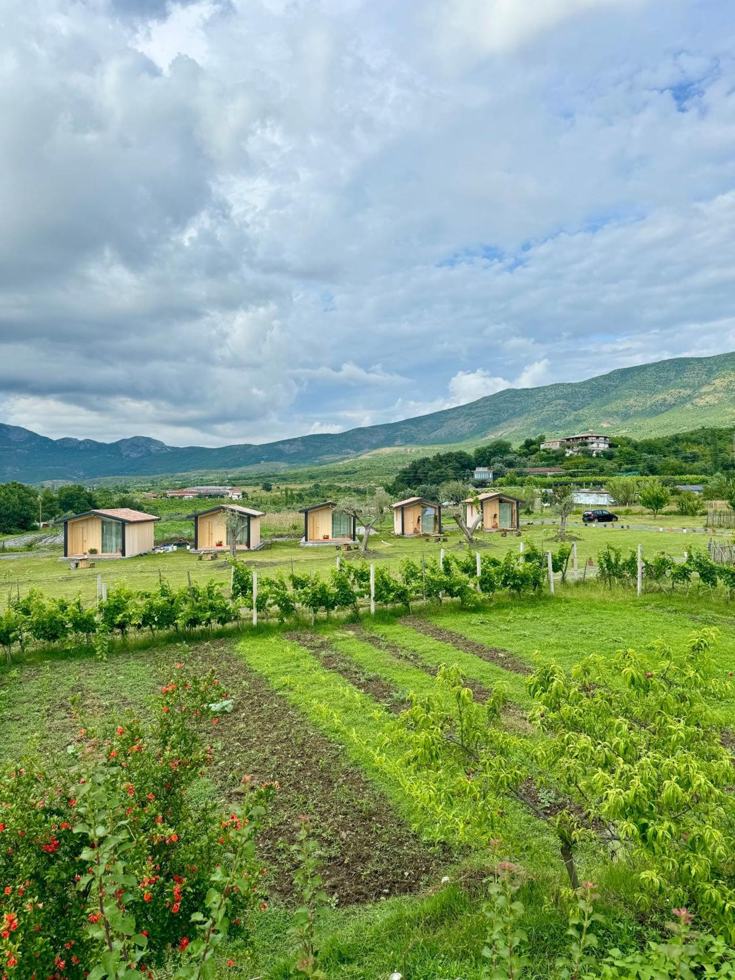Fishta Guesthouse - Mrizi I Zanave Fishte Экстерьер фото