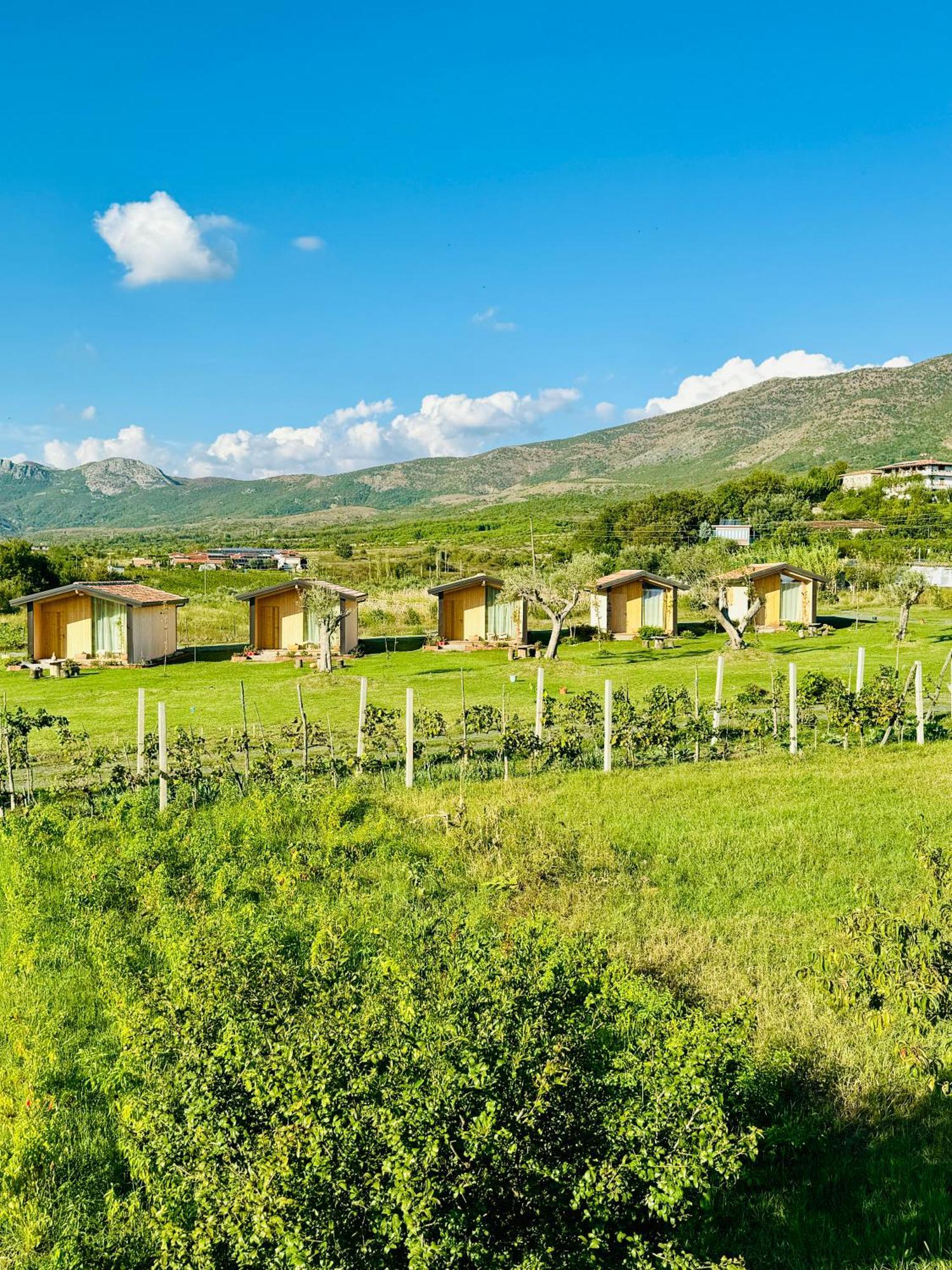 Fishta Guesthouse - Mrizi I Zanave Fishte Экстерьер фото